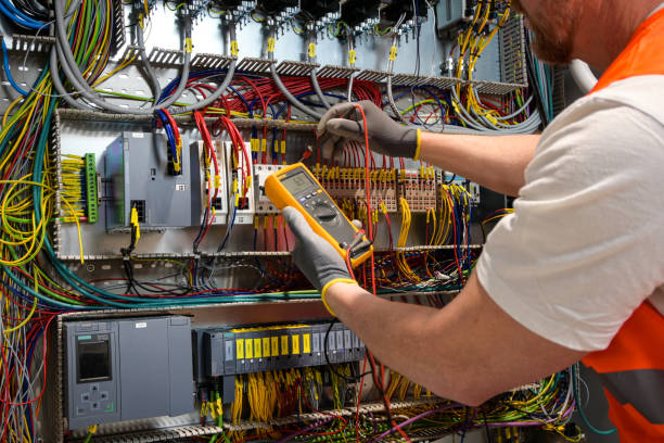 Best Licensed Electrician  in Kenyon, MN