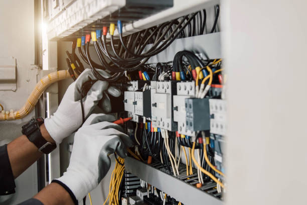 Best Residential Electrician Services  in Kenyon, MN
